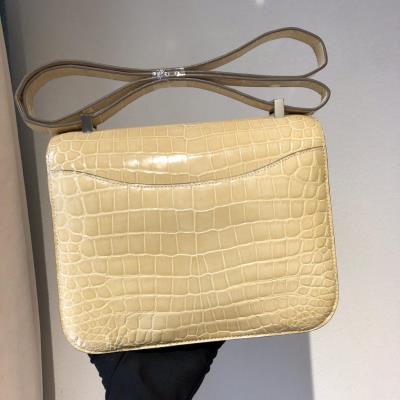 wholesale quality hermes constance 19 shinny niloticus crocodile 12 nata phw